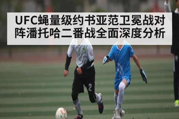 UFC蝇量级约书亚范卫冕战对阵潘托哈二番战全面深度分析
